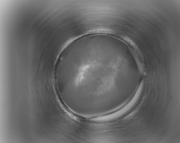 X0000063530989200602032131