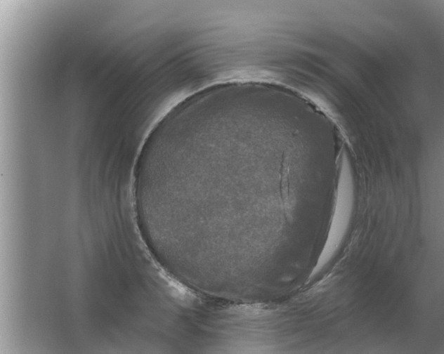 X0000063530990200602032131