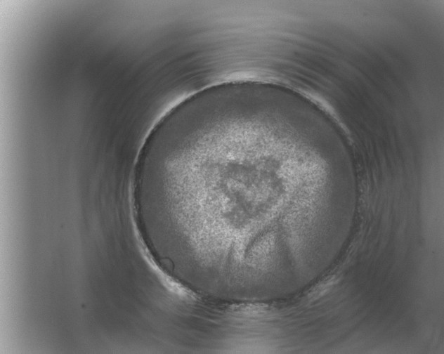 X0000063530991200602032131