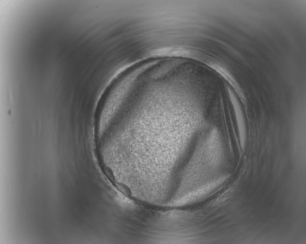 X0000063530992200602032131