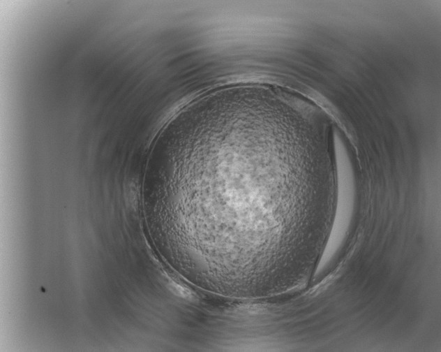 X0000063530993200602032131