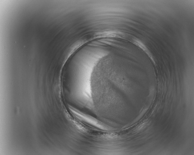 X0000063530994200602032131