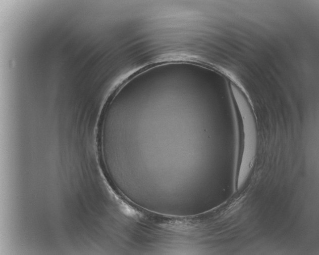 X0000063530995200602032131