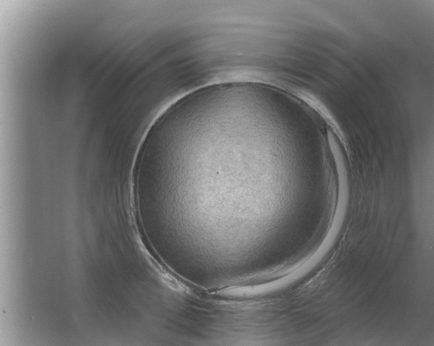 X0000063530996200602032131