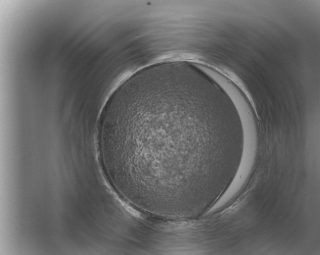 X0000063530997200602032131