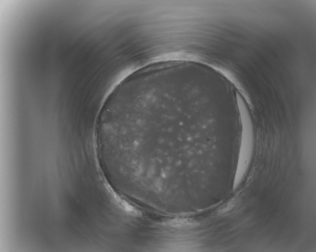 X0000063530998200602032131