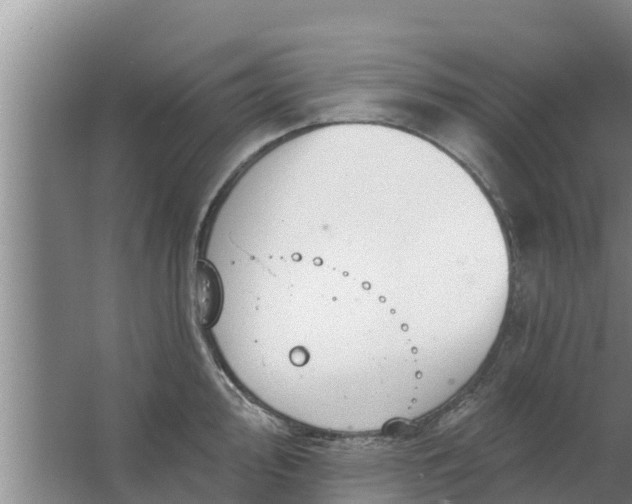 X0000063531000200602032131