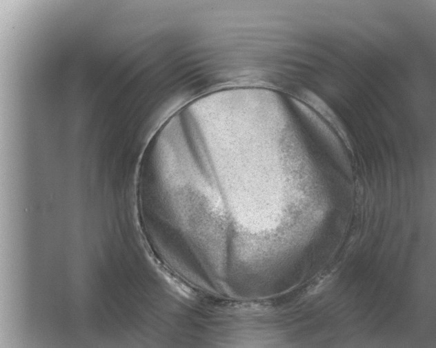 X0000063531002200602032131