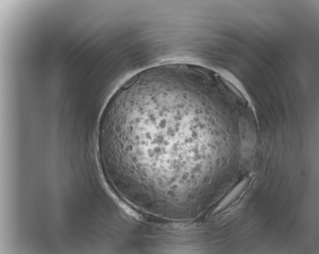 X0000063531005200602032131