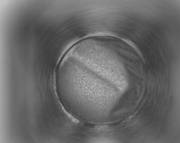 X0000063531006200602032131