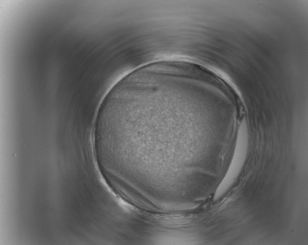 X0000063531007200602032131