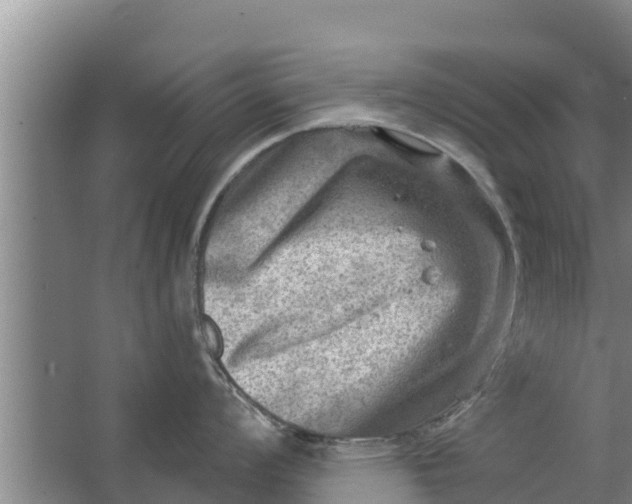 X0000063531008200602032131