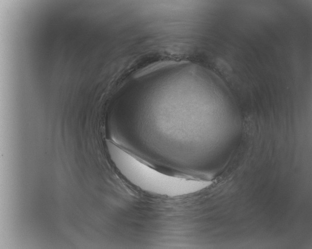 X0000063531009200602032130