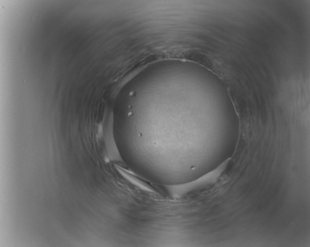 X0000063531010200602032130