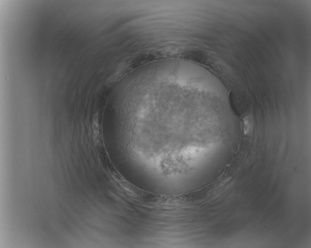 X0000063531011200602032130