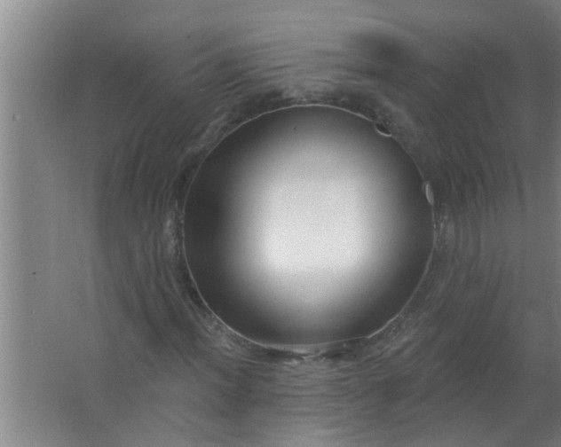 X0000063531012200602032130