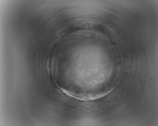 X0000063531013200602032130