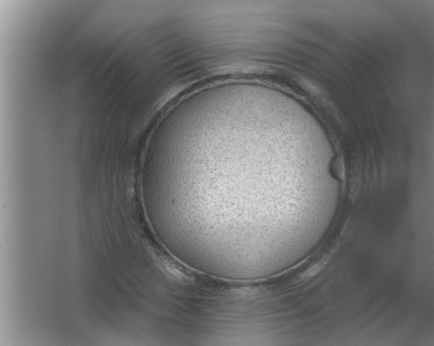 X0000063531017200602032130