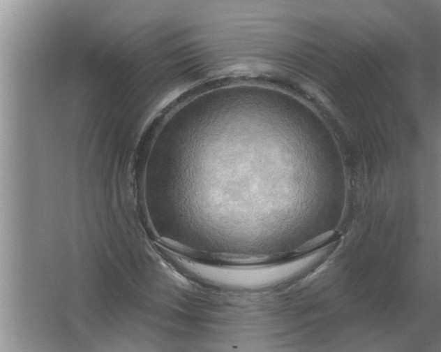 X0000063531018200602032130