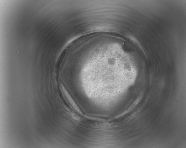 X0000063531019200602032130