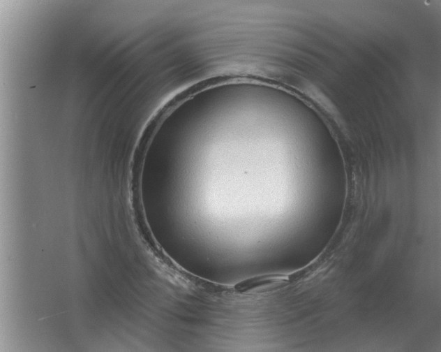 X0000063531020200602032130