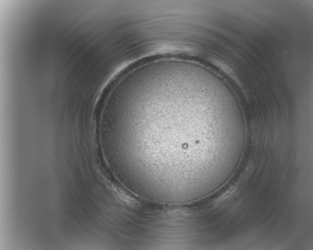 X0000063531021200602032130