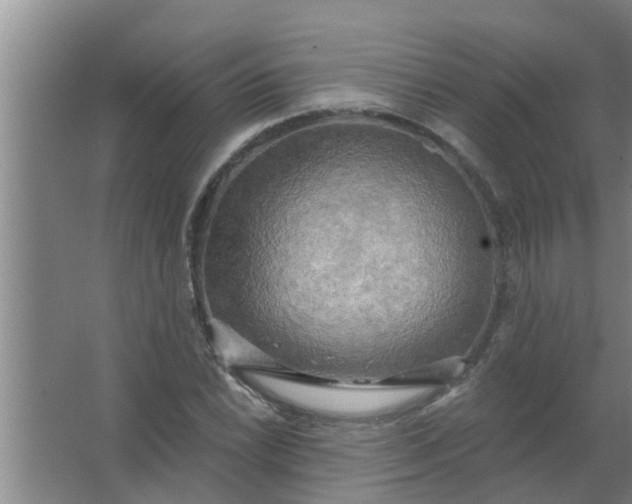 X0000063531022200602032130