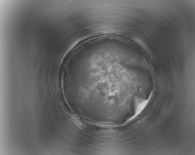 X0000063531023200602032130