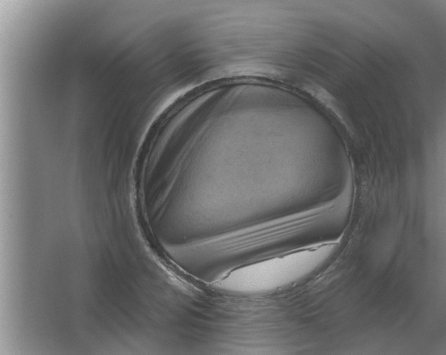 X0000063531024200602032131