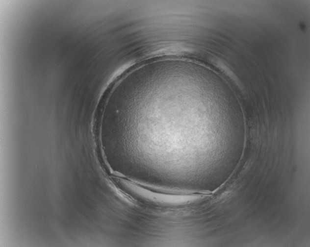 X0000063531026200602032131