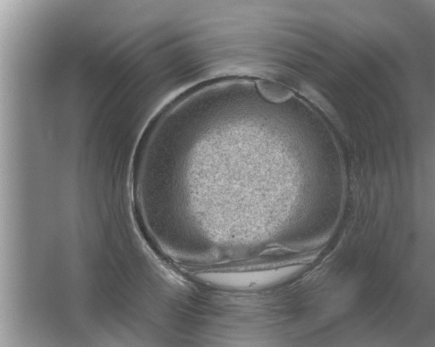 X0000063531028200602032131