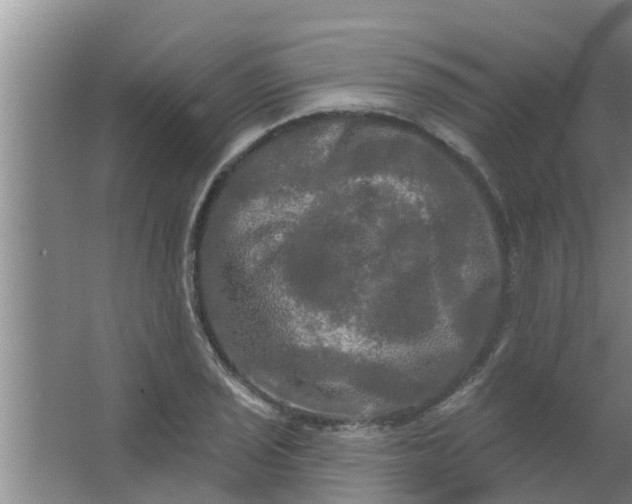 X0000063531029200602032131