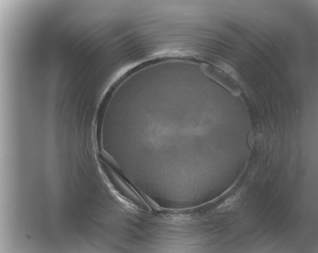 X0000063531030200602032131