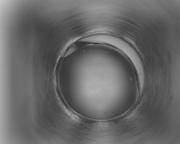 X0000063531034200602032131