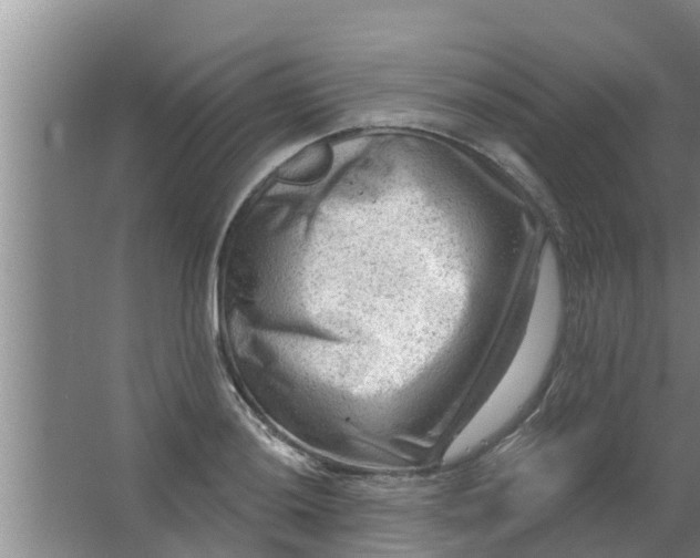 X0000063531036200602032131