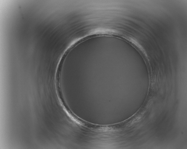 X0000063531037200602032131