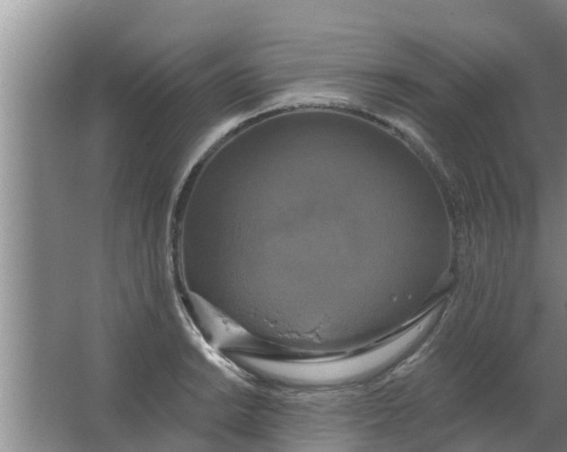 X0000063531038200602032131