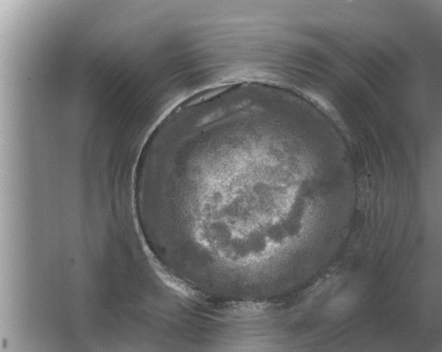 X0000063531039200602032131