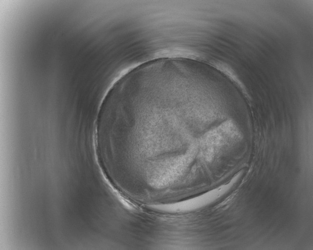 X0000063531040200602032131