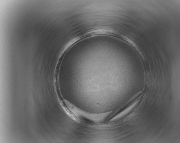 X0000063531042200602032131