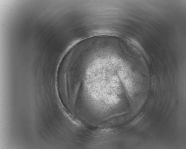 X0000063531043200602032131