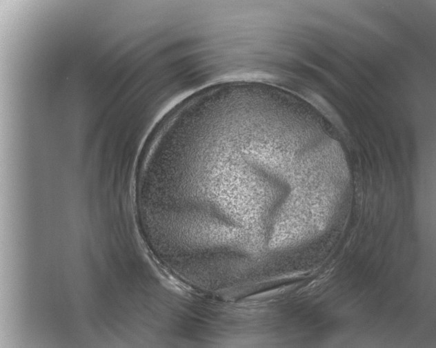 X0000063531044200602032131