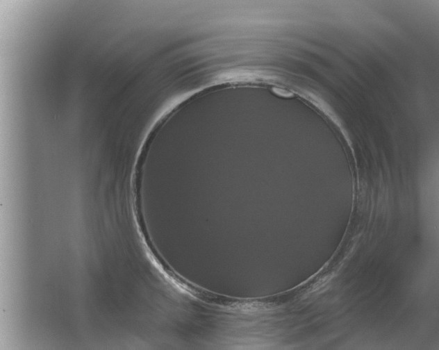 X0000063531045200602032131