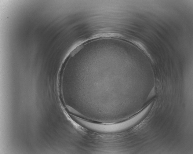 X0000063531046200602032131