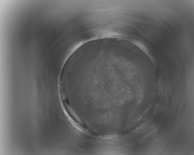 X0000063531047200602032131