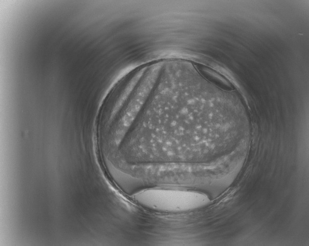 X0000063531048200602032131