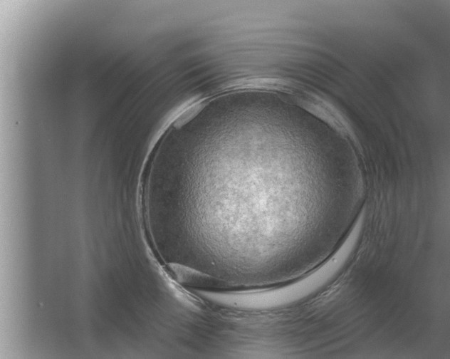 X0000063531050200602032131