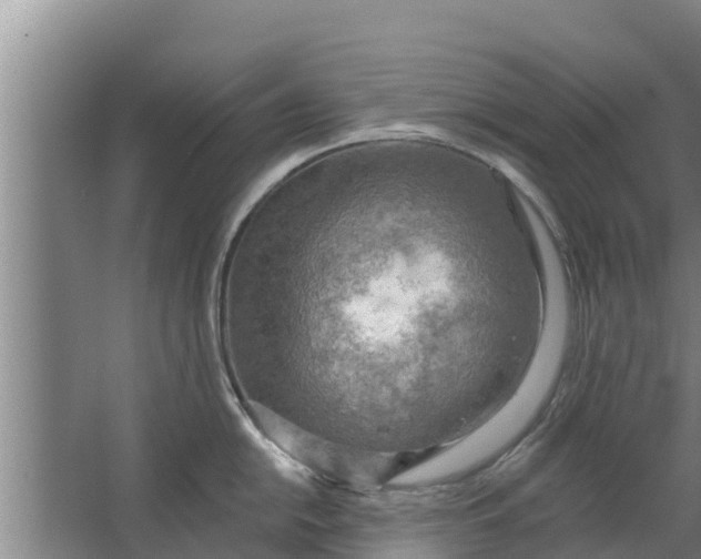 X0000063531054200602032131