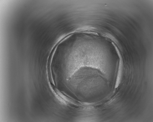 X0000063531055200602032131