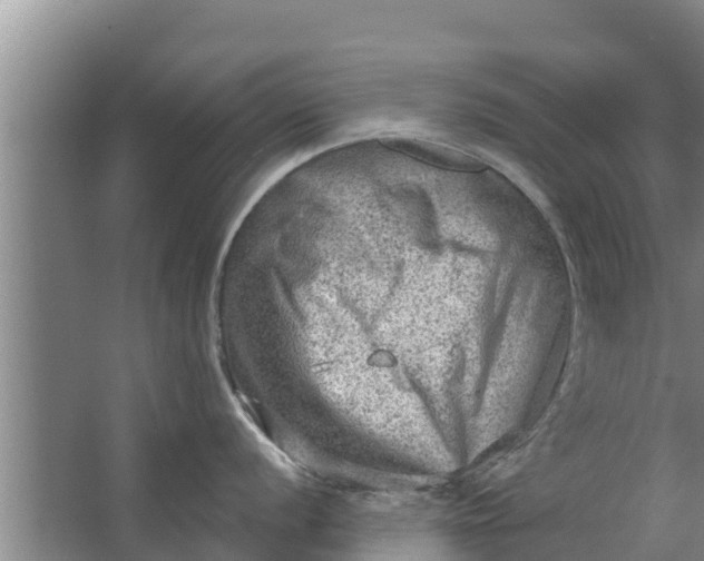 X0000063531056200602032131